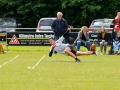 federatie4